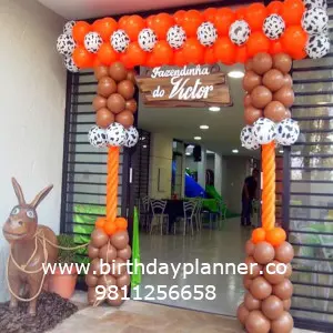 best barnyard theme party decoration