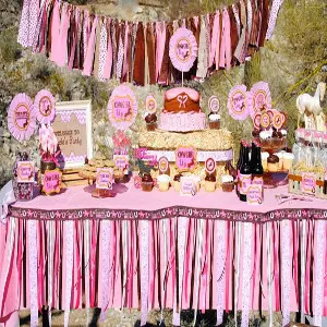 best cowgirl theme party ideas
