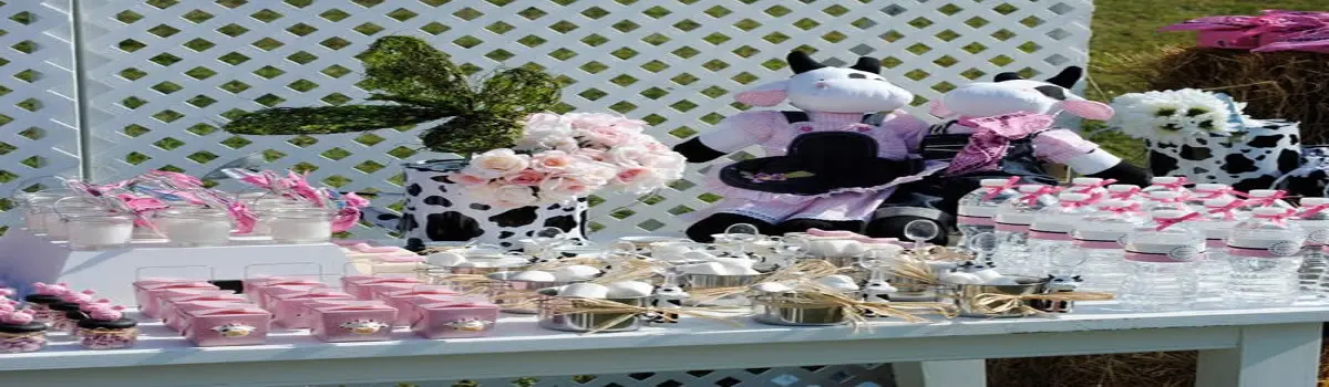 cowgirl theme party planner