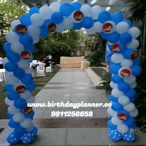 cricket theme birthday party planner