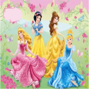 princess-theme-party-planner princes theme party planner in india