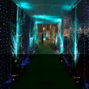 event management planner in delhi