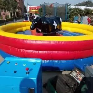 www.birthdayplanner.co (1) Bull ride on rent