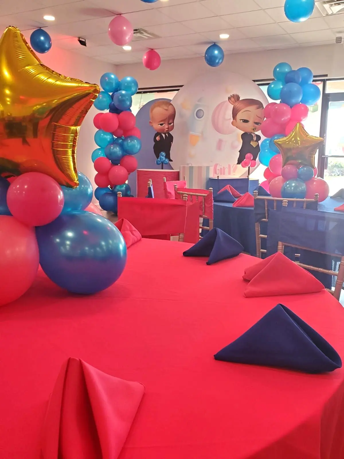 hire-twin-theme-party-planner