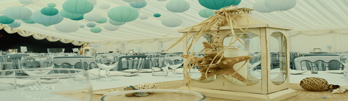 aqua theme party planner