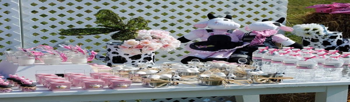 cowgirl theme party planner