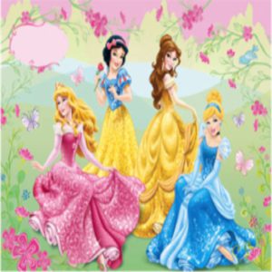 princess-theme-party-planner princes theme party planner in india
