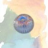 zorbing ball on rent