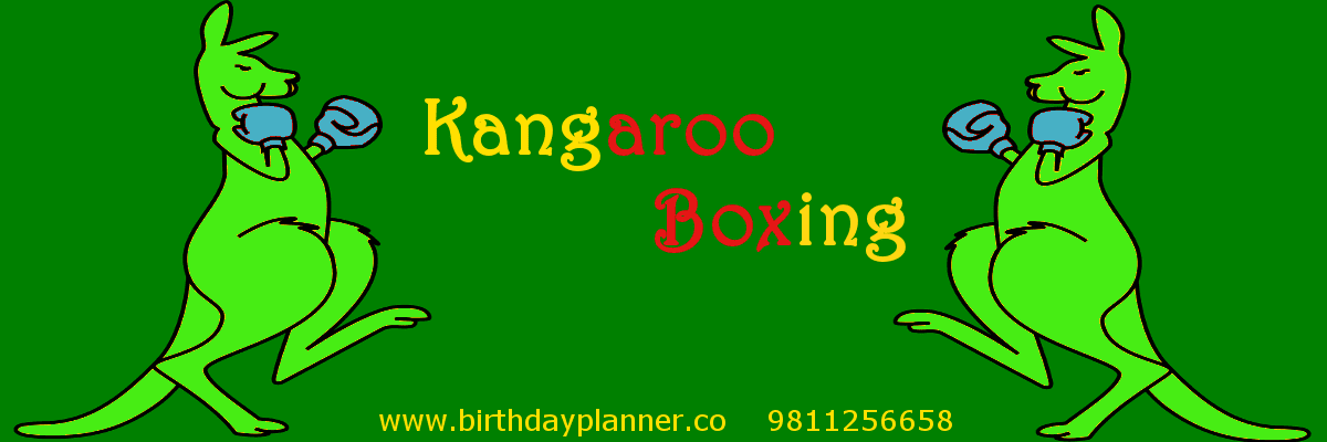 kangaroo boxing on rent