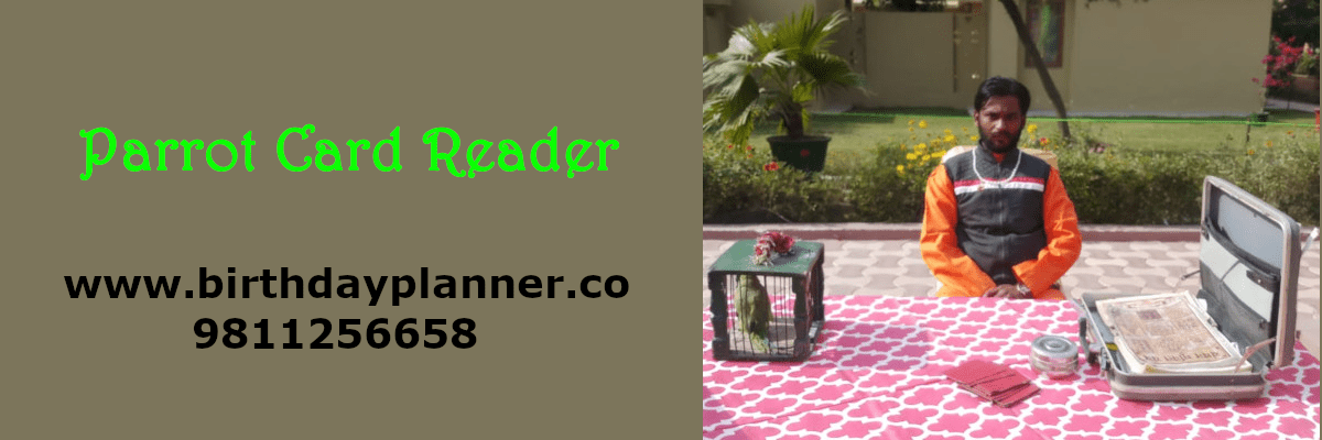 parrot card reader on rent