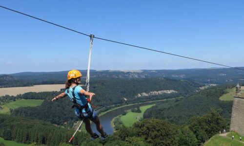 flying fox