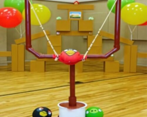angry-bird-activities