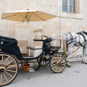 Buggy Ride