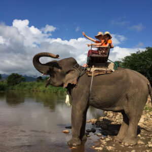 elephant-riding Elephant Riding
