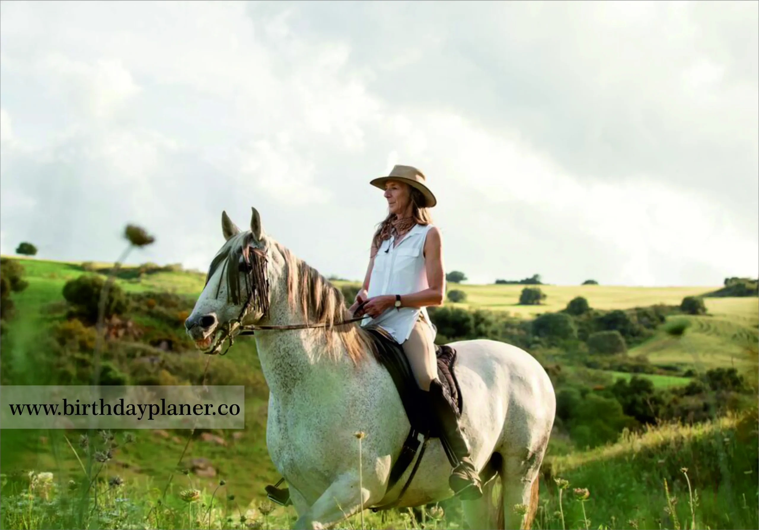 horse-ride