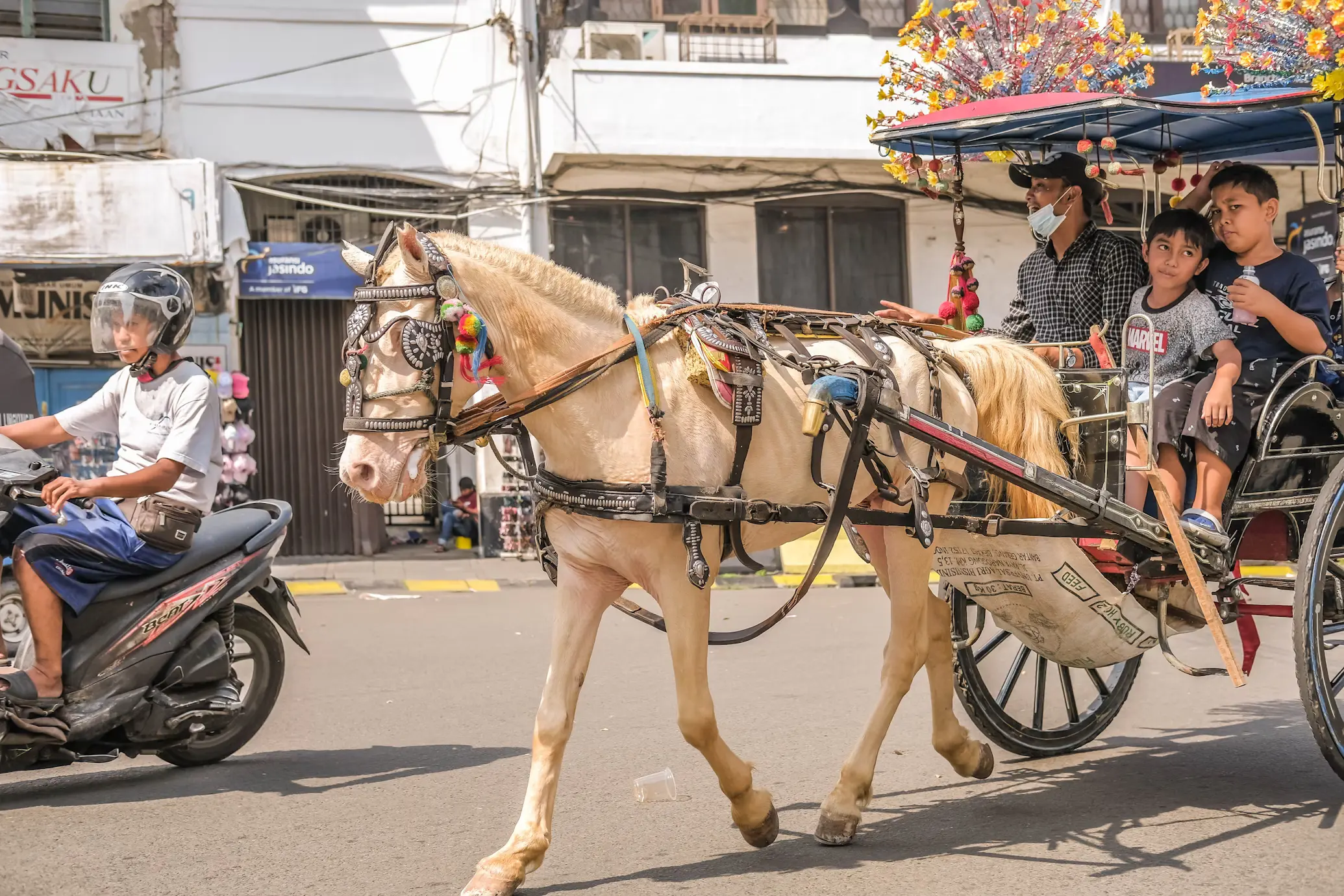 buggy-ride-on-rent