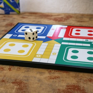 gaint ludo game