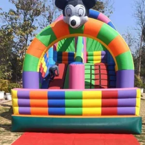 mickey-mouse-bouncy