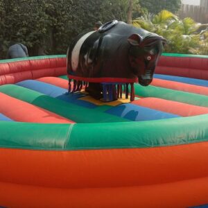hire-bull-ride-on-rental hire bull ride on rental