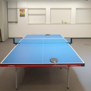 hire-table-tennis-table hire table tennis table