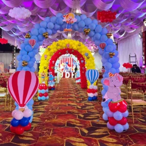 birthday party organiser