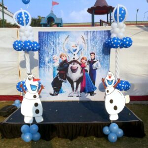 frozen theme party planner for hire