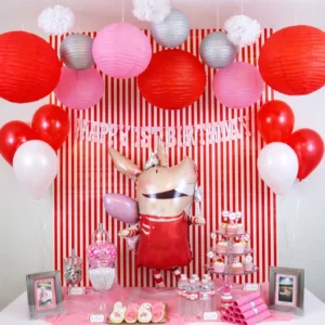 olivia theme party planner for birthday