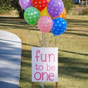one with fun theme party planner for events