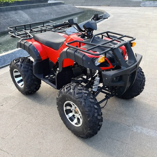 petrol quad in delhi